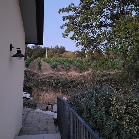 Hostal La Residenza Di Campagna Manciano Exterior foto